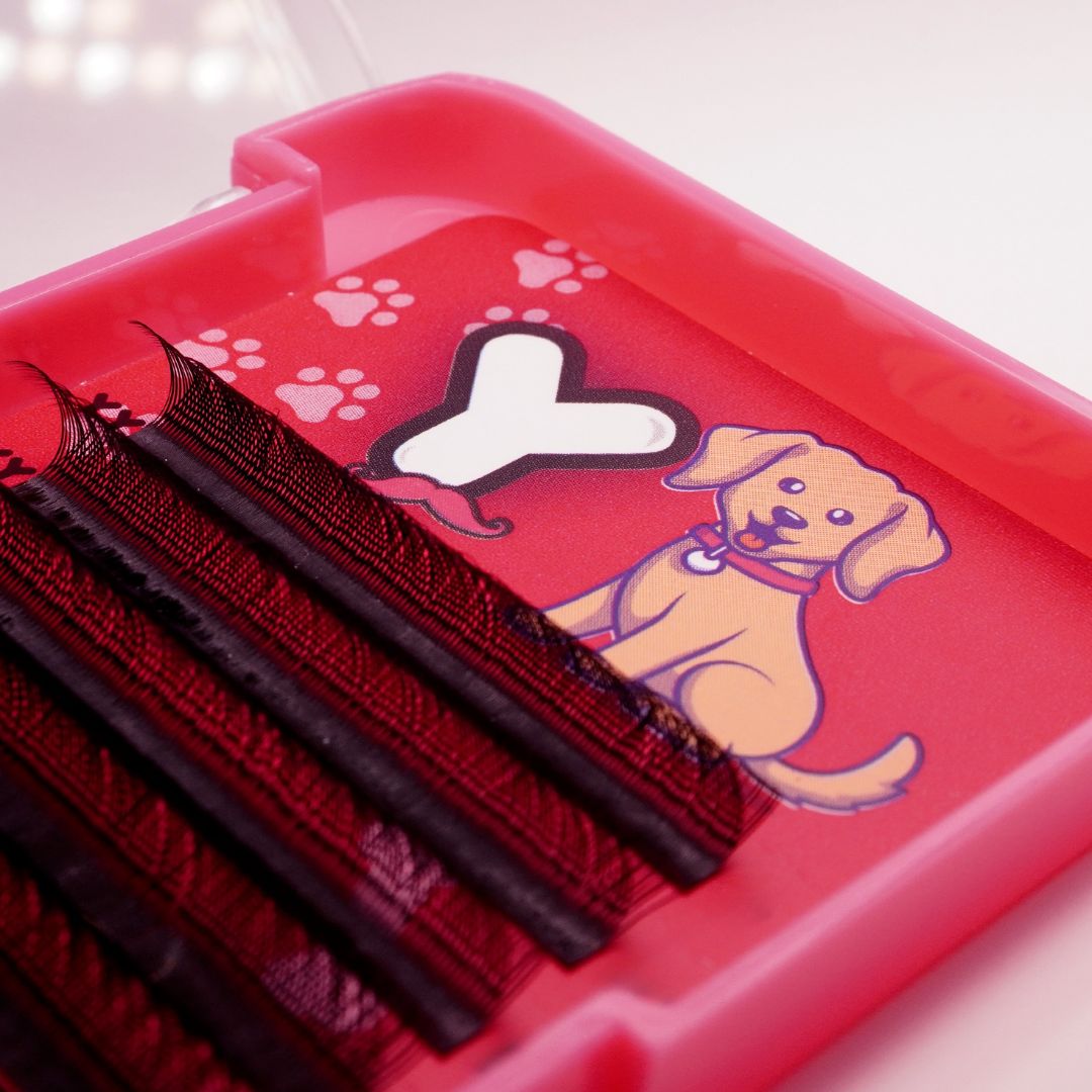 Cílios João da Beleza Y Curvatura C e D