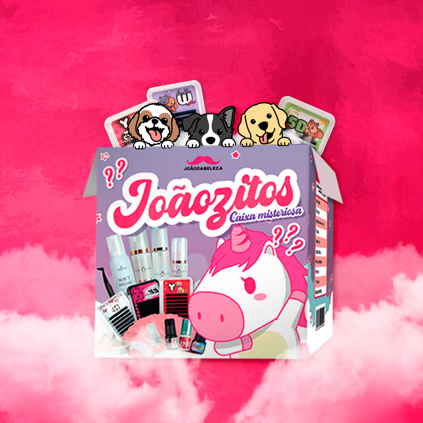 Caixa Misteriosa Joãozitos